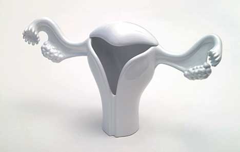 Uterus Vase by The Plug and Stephanie Rollin